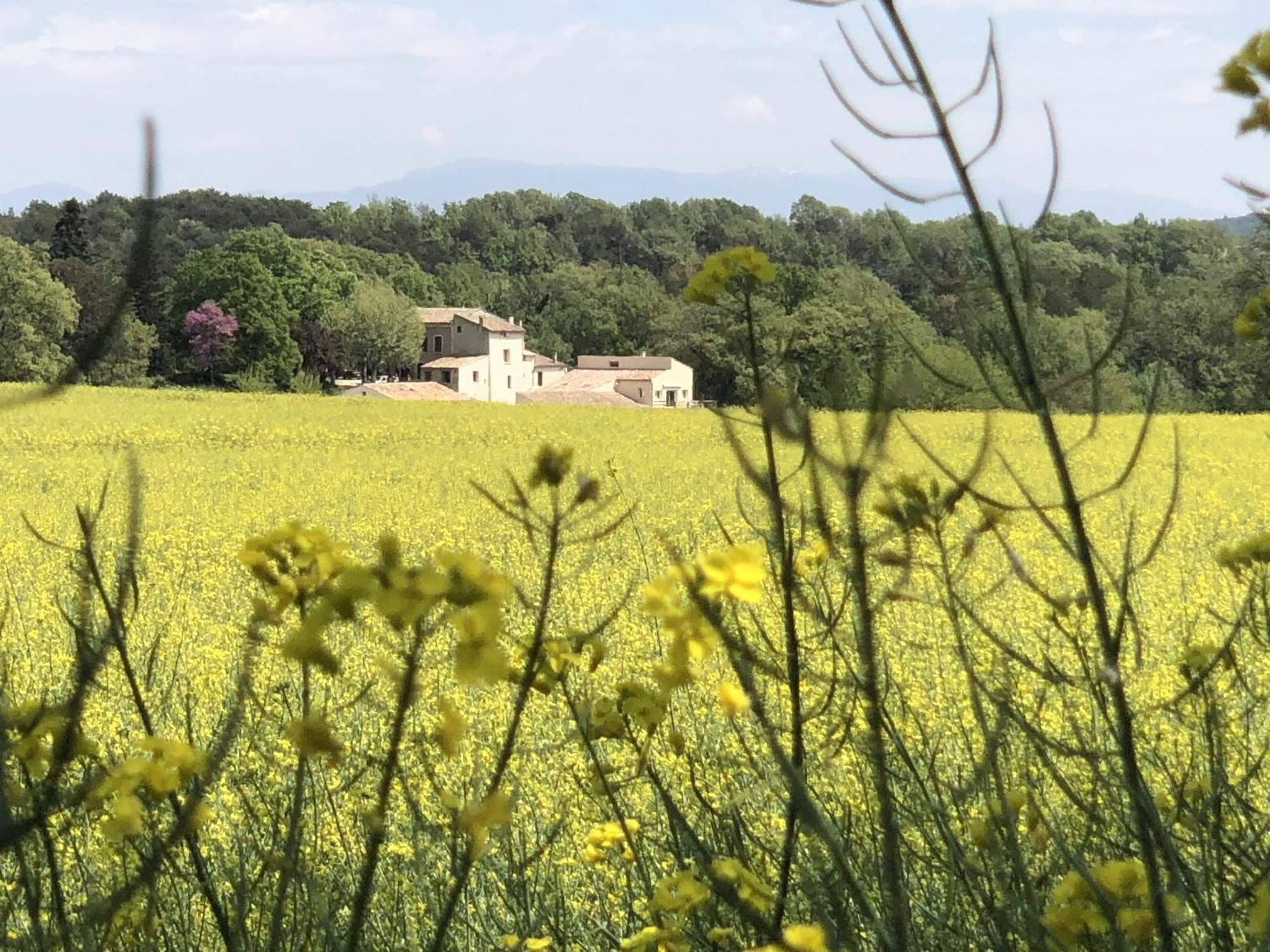Les ânes De 3* Forcalquier
