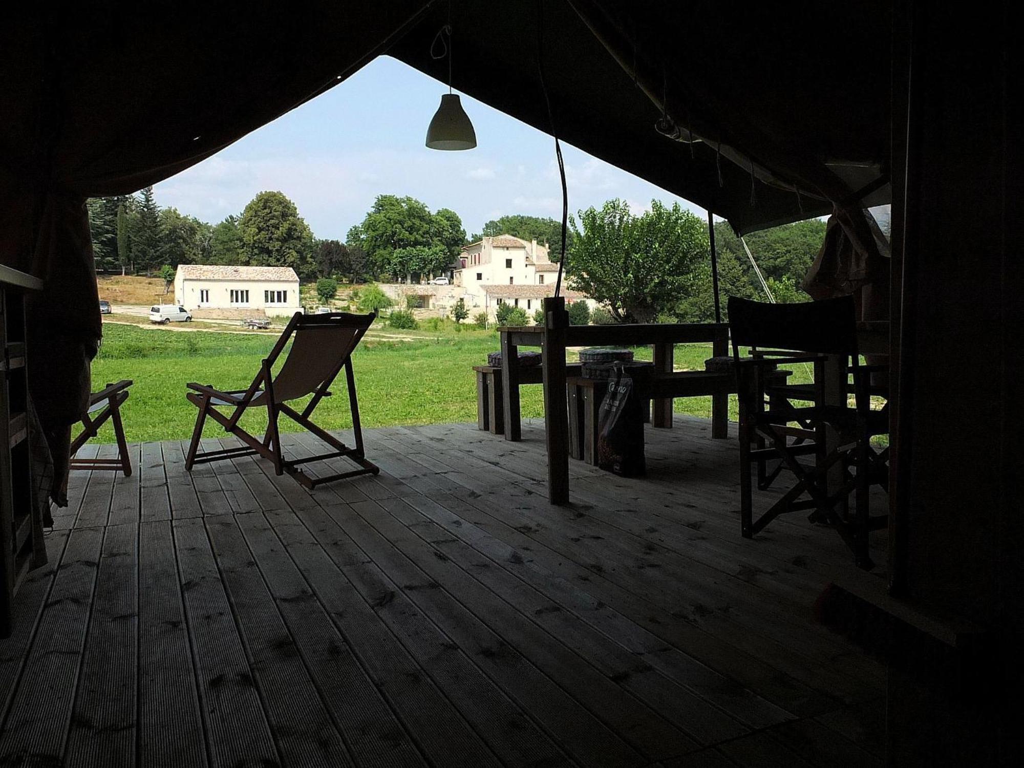 Les ânes De Forcalquier
