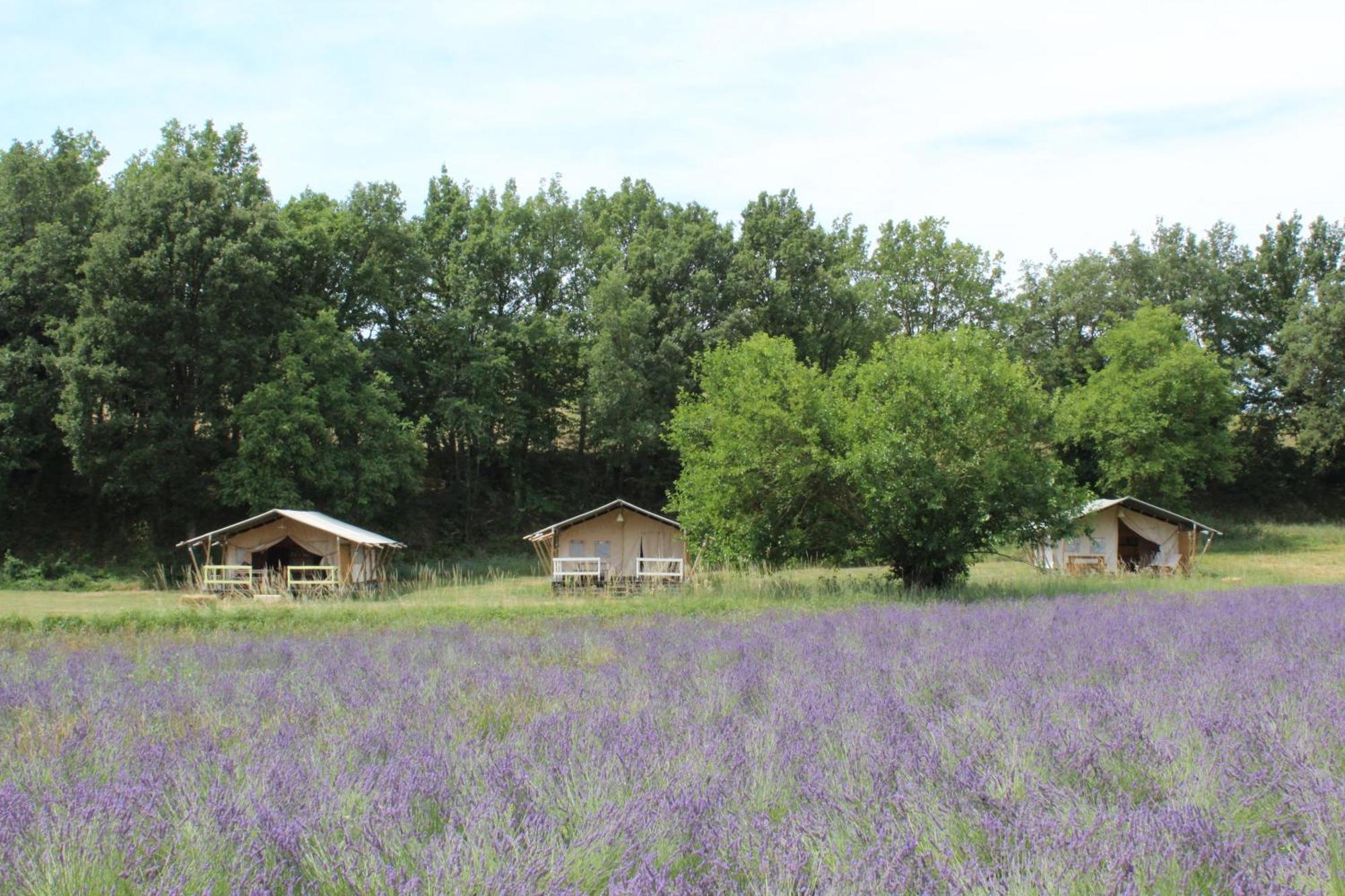 Les ânes De Maison d'hôtes