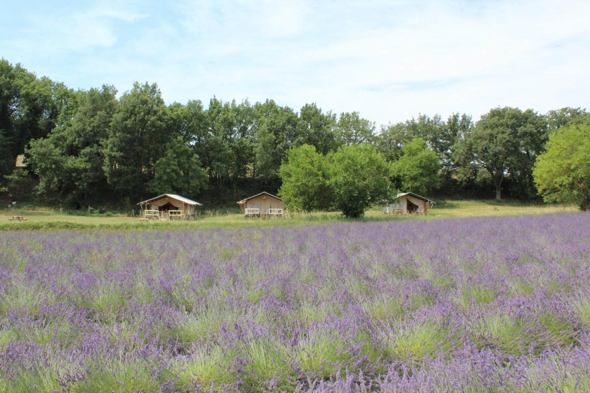 Maison d'hôtes Les ânes De 3*