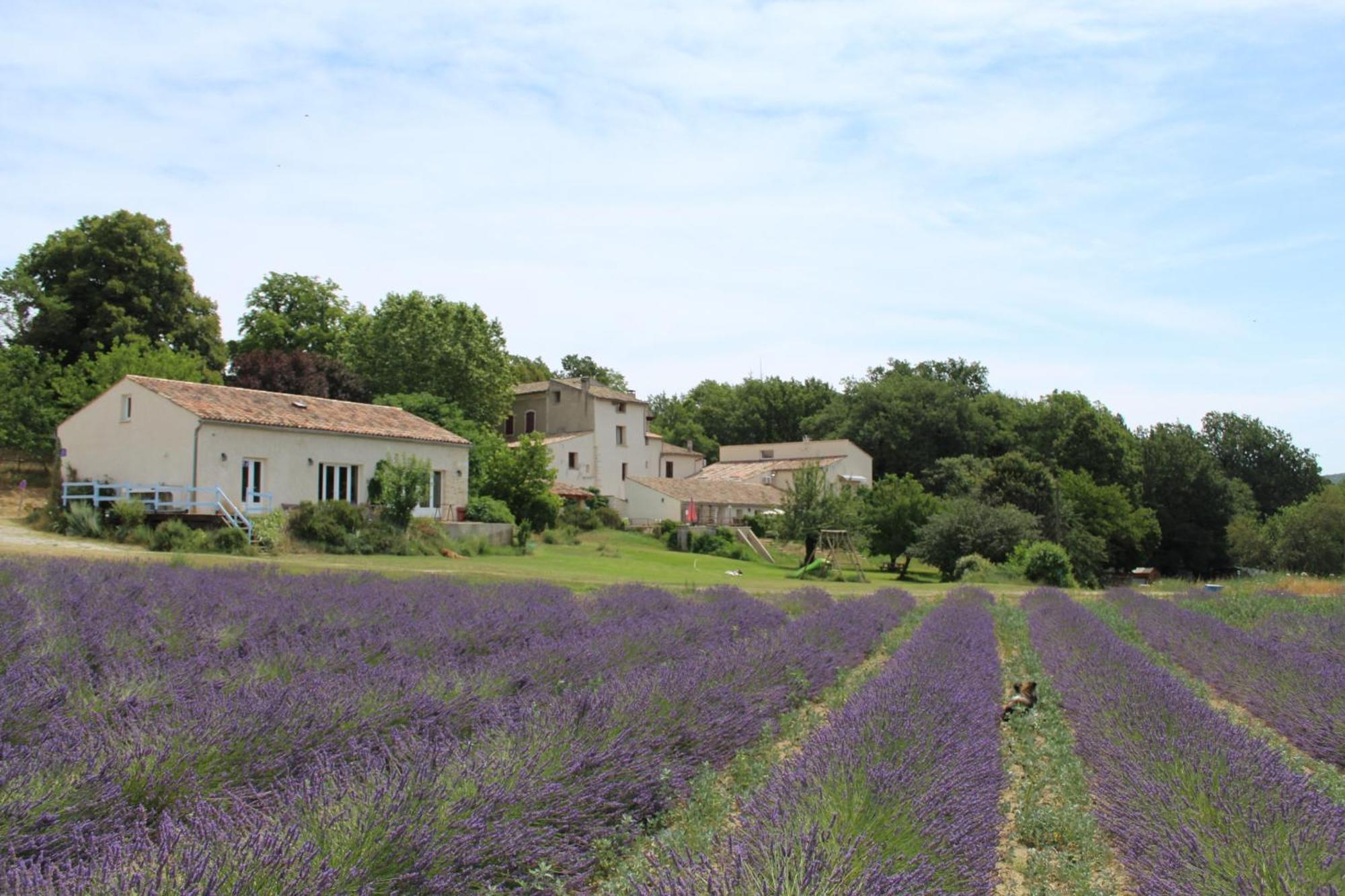 Maison d'hôtes Les ânes De Forcalquier