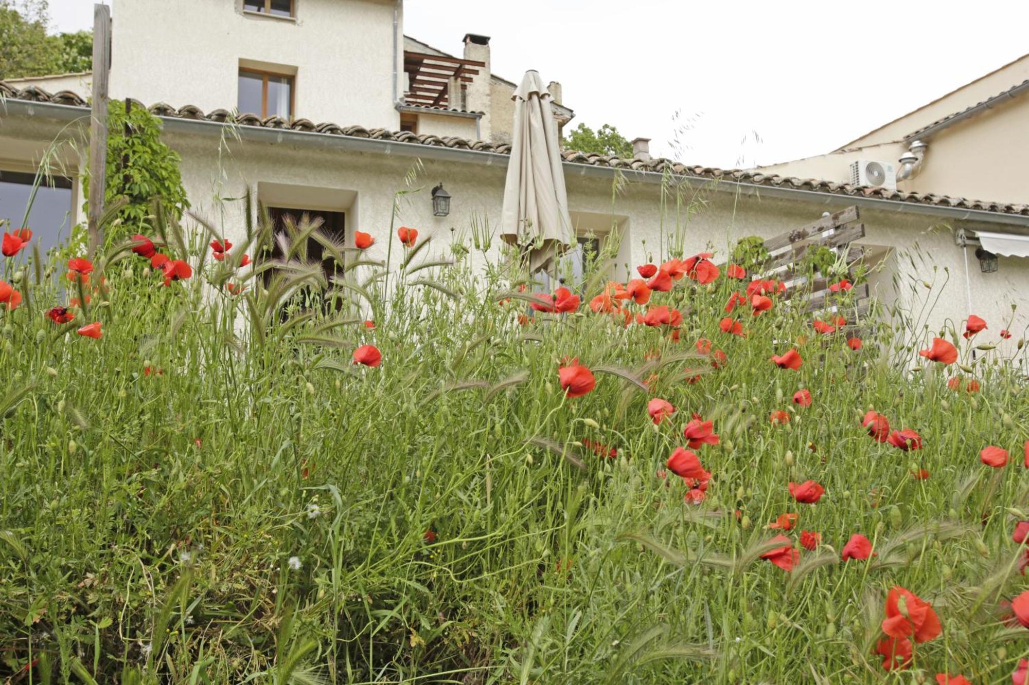 Les ânes De Maison d'hôtes
