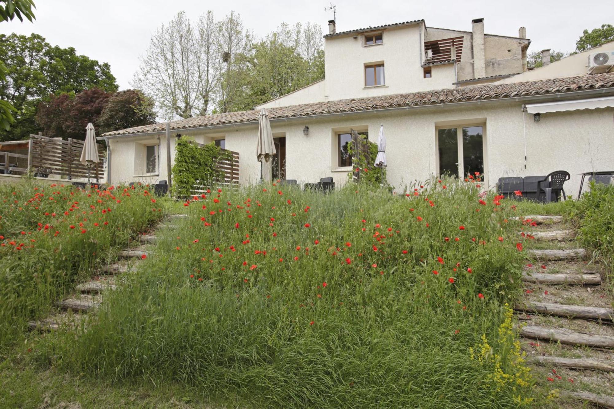 Les Anes De 3* Forcalquier